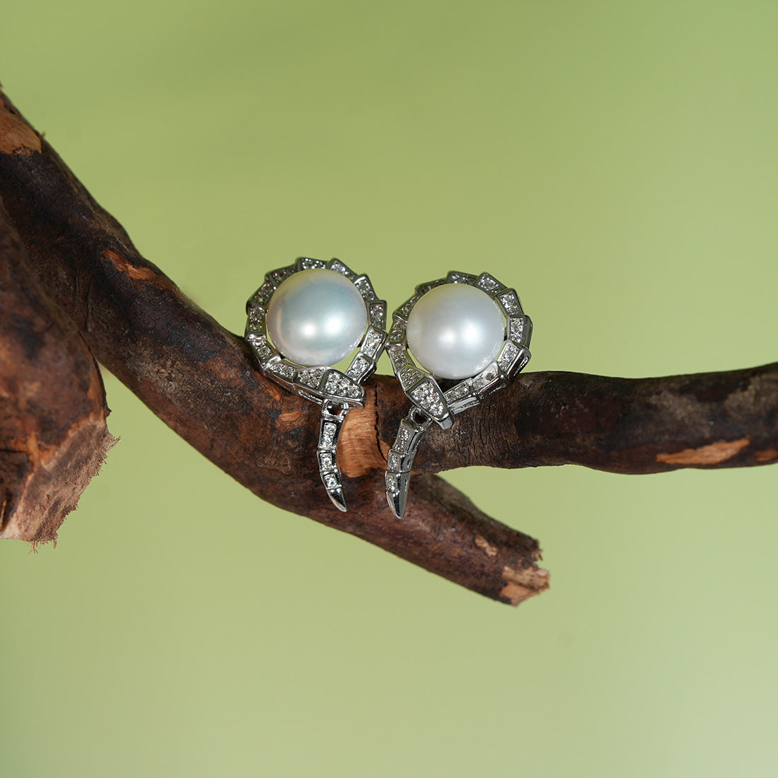 Rattlesnake Ouroboros Pearl Stud Earrings