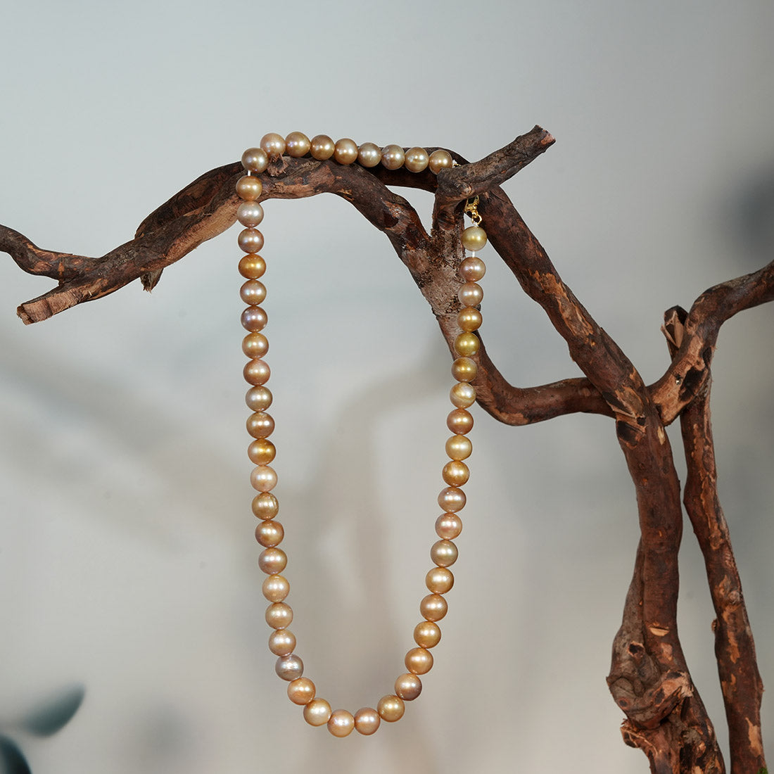 Golden Caramel Iridescent Dreamstand Necklace